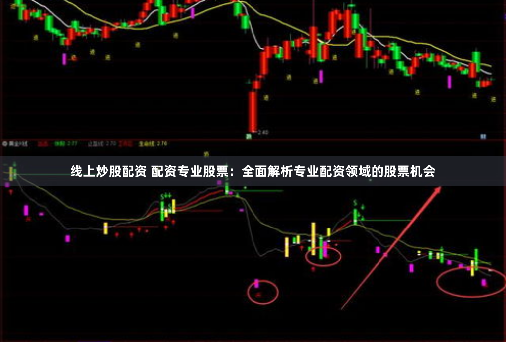 线上炒股配资 配资专业股票：全面解析专业配资领域的股票机会