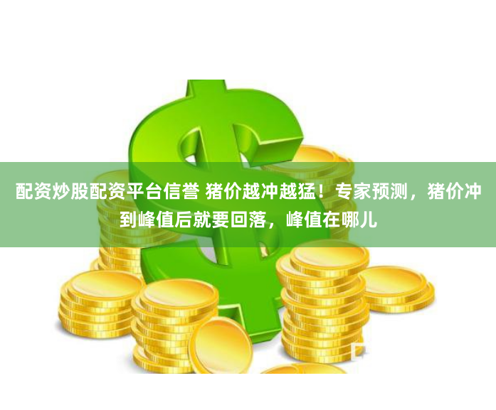 配资炒股配资平台信誉 猪价越冲越猛！专家预测，猪价冲到峰值后就要回落，峰值在哪儿