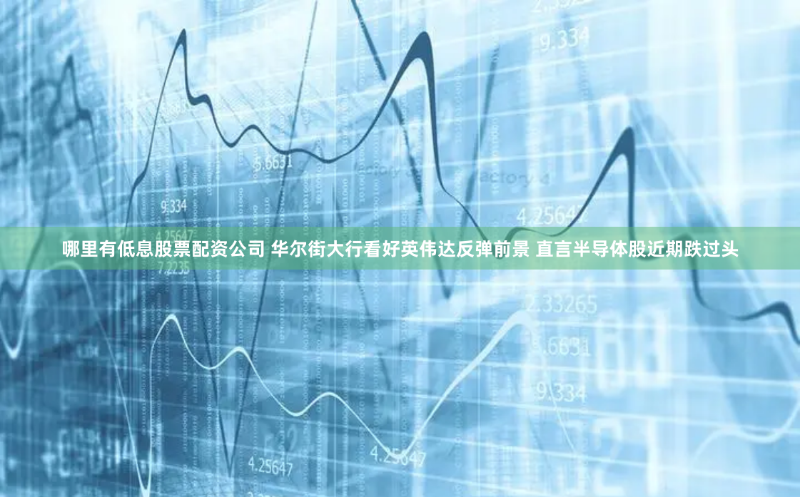 哪里有低息股票配资公司 华尔街大行看好英伟达反弹前景 直言半导体股近期跌过头